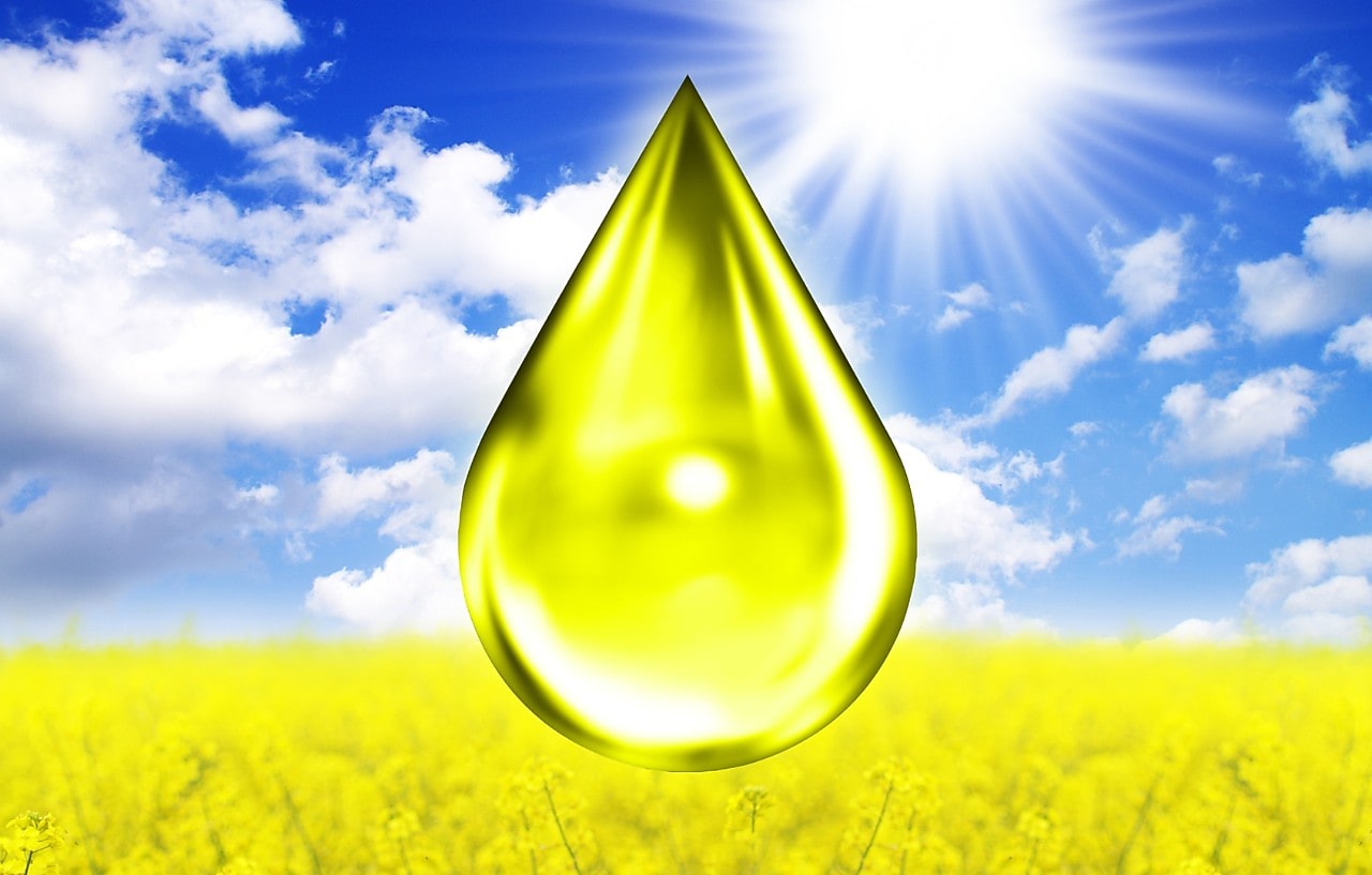 Ein Tropfen Pflanzenöl vor einem Rapsfeld mit blauem Himmel