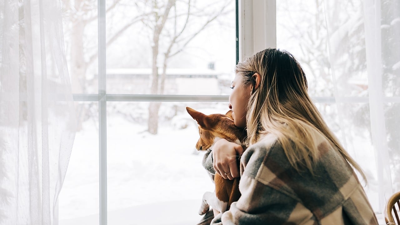 Frau sitzt mit ihrem Hund am Fenster und schaut nach draußen in den Schnee.