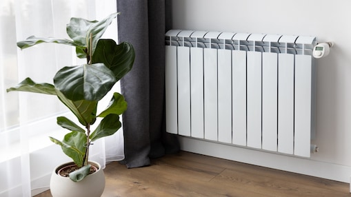 Weißer Heizkörper mit Thermostat neben einer Zimmerpflanze am Fenster.