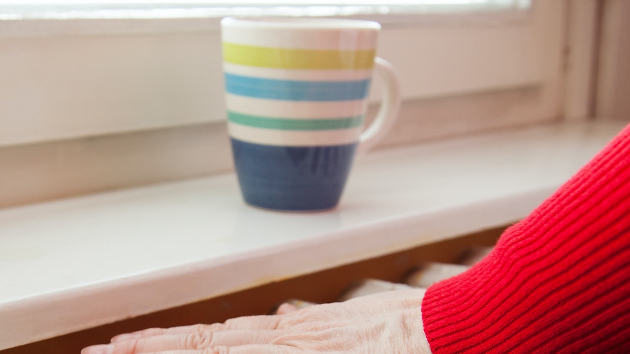 Team-Bild von Josef Pauli GmbH