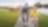 Vater und Sohn vor Shell Tankwagen